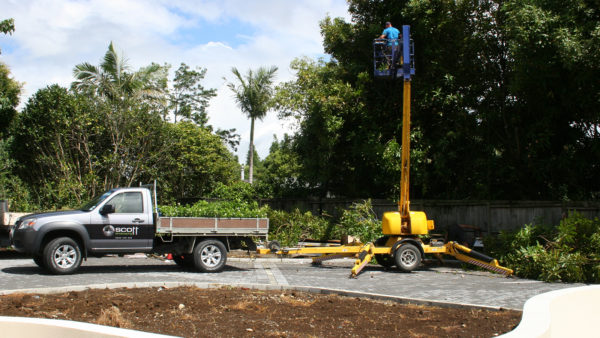 Kerikeri, Northland Arborists