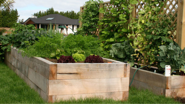 vegetable garden construction kerikeri